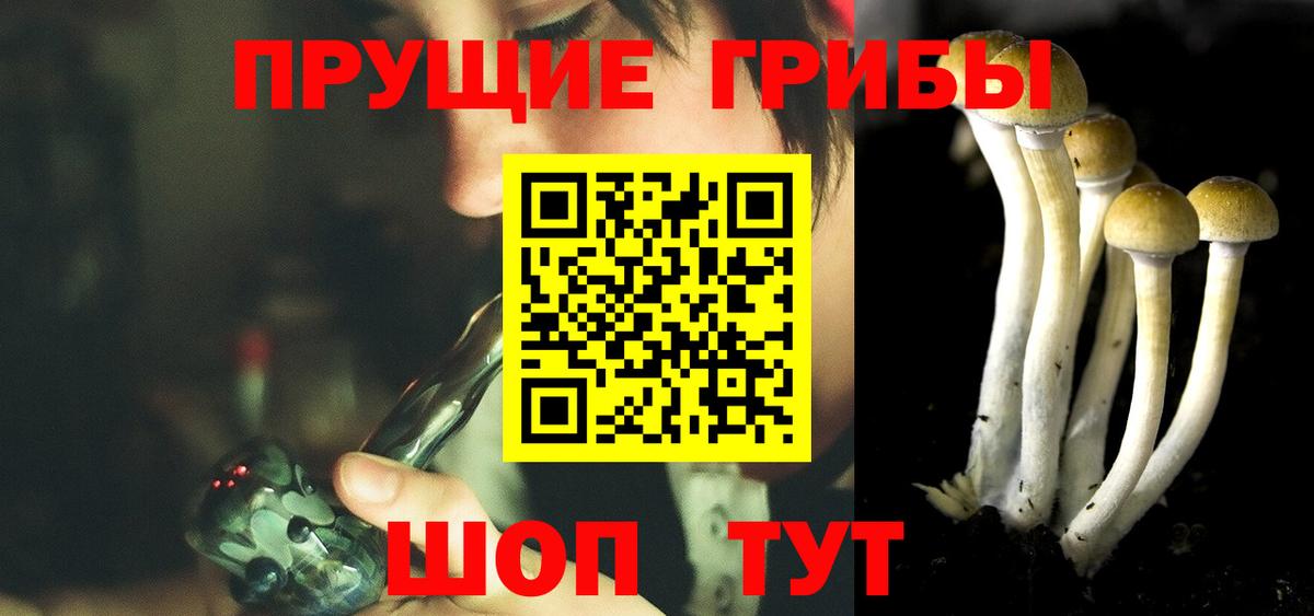 Псилоцибиновые грибы Magic Shrooms  Вход с VPN  Саров 